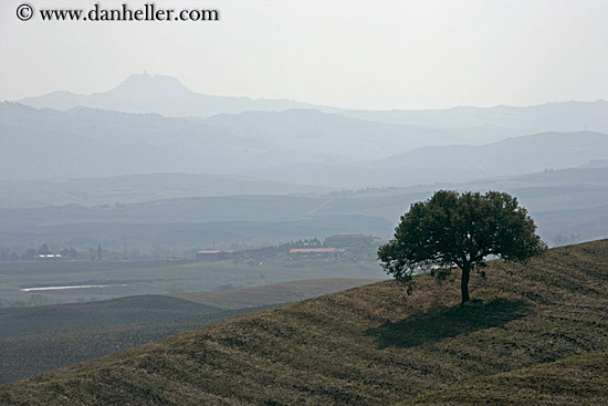 tree-n-hazy-landscape.jpg