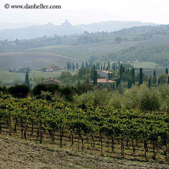 tuscany-scenery-09.jpg