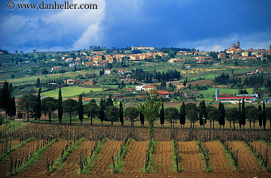 tuscany-vineyard-2.jpg