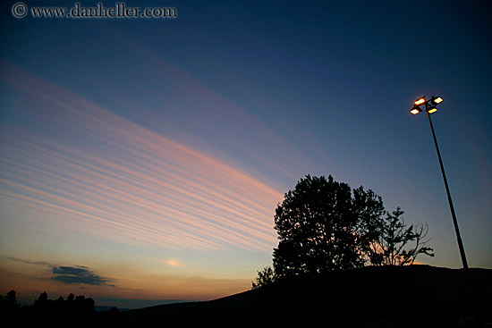 sunset-tree-n-lamp_post.jpg