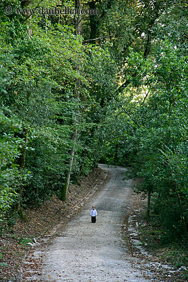 trees-n-road-n-jack-1.jpg