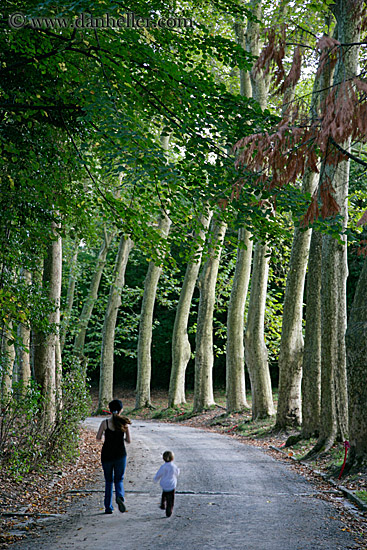 trees-n-road-n-jack-2.jpg