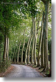 boys, childrens, demidoff park, europe, italy, jacks, roads, streets, toddlers, towns, trees, tuscany, vertical, photograph