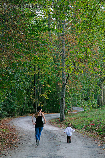 trees-n-road-n-jack-5.jpg