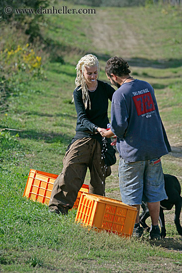 grape-pickers-2.jpg