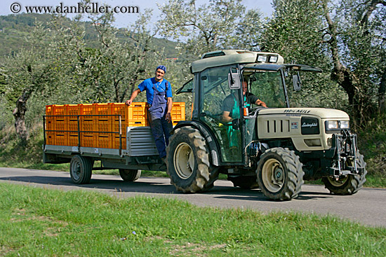 grape-pickers-on-truck-1.jpg