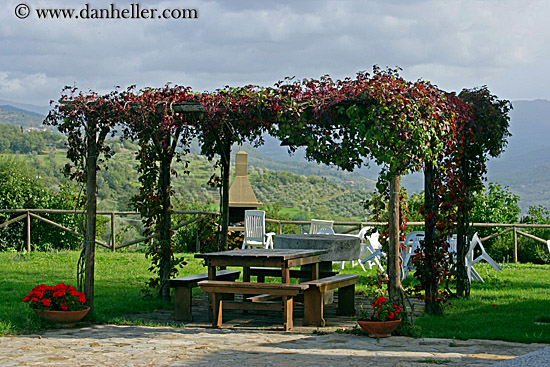 ivy-covered-picnic-table.jpg