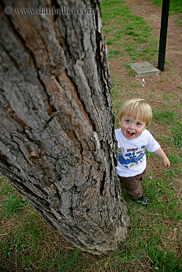 jack-behind-tree.jpg