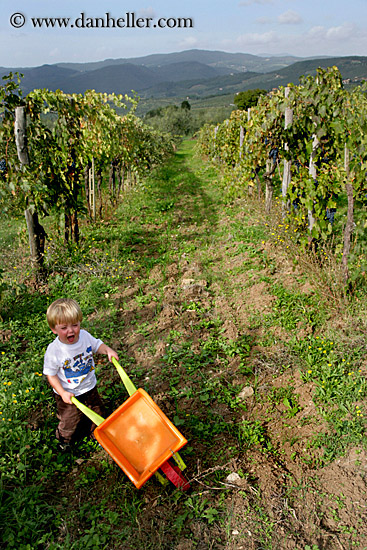 jack-n-wheel_barrow-1.jpg