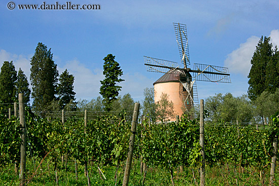 windmill-6.jpg