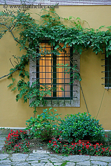 lit-window-n-ivy.jpg