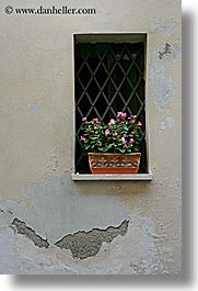 images/Europe/Italy/Tuscany/Towns/Montalcino/FlowersDoorsWindows/flowers-in-windows-1.jpg