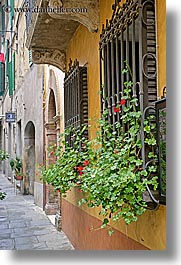 images/Europe/Italy/Tuscany/Towns/Montalcino/FlowersDoorsWindows/flowers-in-windows-5.jpg