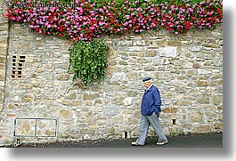 images/Europe/Italy/Tuscany/Towns/Montalcino/FlowersDoorsWindows/flowers-on-wall-2.jpg