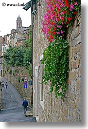 images/Europe/Italy/Tuscany/Towns/Montalcino/FlowersDoorsWindows/flowers-on-wall-3.jpg