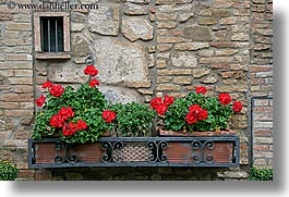 images/Europe/Italy/Tuscany/Towns/Montalcino/FlowersDoorsWindows/flowers-on-wall-6.jpg