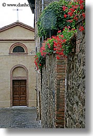 images/Europe/Italy/Tuscany/Towns/Montalcino/FlowersDoorsWindows/flowers-on-wall-7.jpg