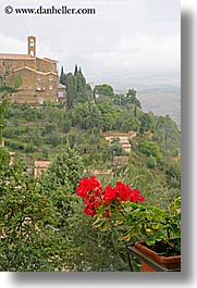 images/Europe/Italy/Tuscany/Towns/Montalcino/FlowersDoorsWindows/geraniums-3.jpg