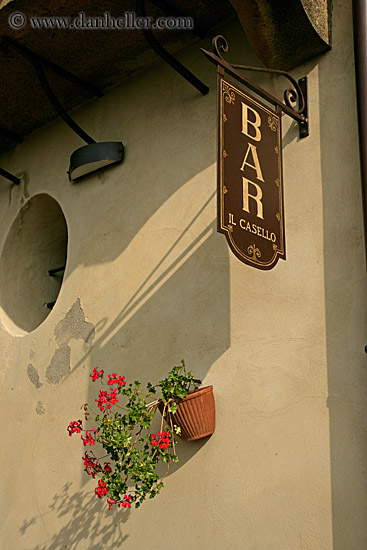 bar-sign-n-flowers.jpg