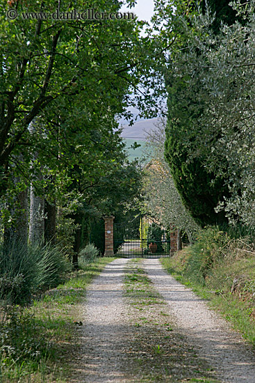 car-path-to-iron-gate.jpg