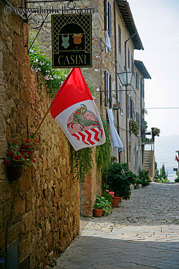 casini-sign-n-flag-1.jpg