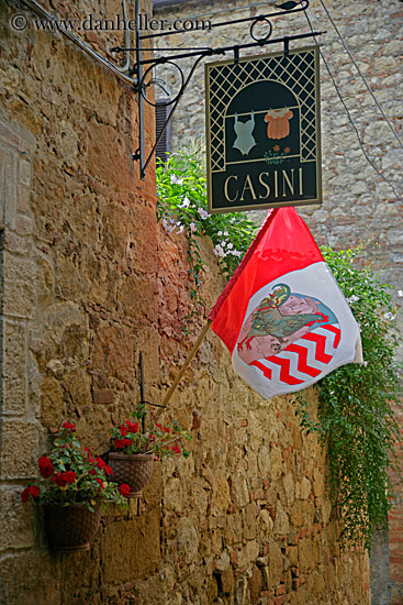 casini-sign-n-flag-2.jpg