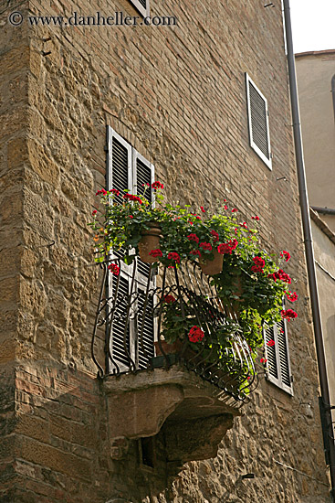 flowers-on-balcony-2.jpg