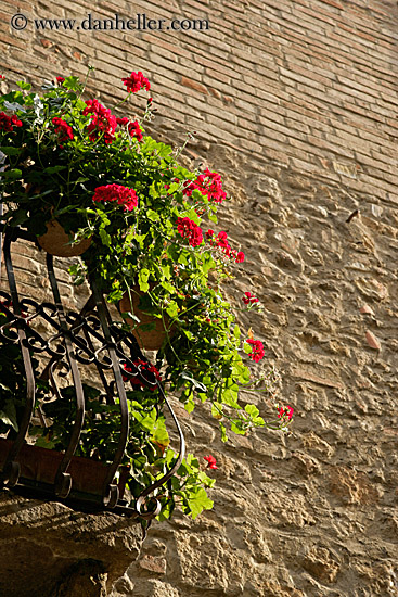 flowers-on-balcony-3.jpg