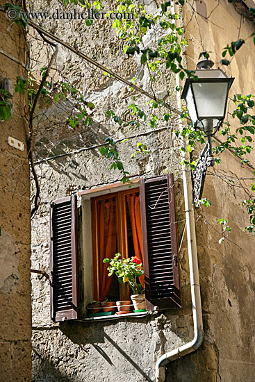 flowers-in-window-2.jpg