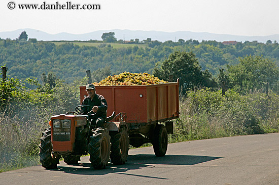 man-driving-truck.jpg