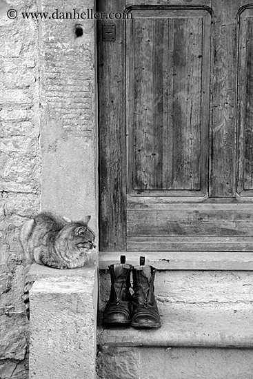 cat-at-door--bw2.jpg