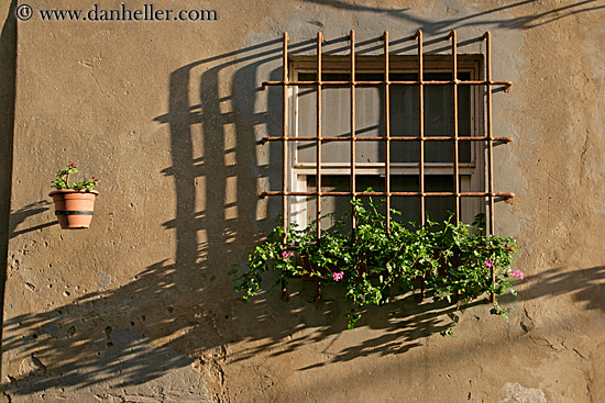 iron-gate-window-n-flowers.jpg