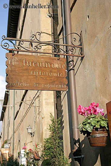 restaurant-sign-n-flowers-1.jpg