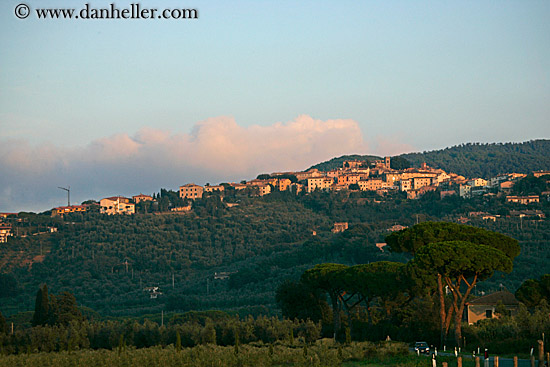 town-n-trees-at-sunset.jpg