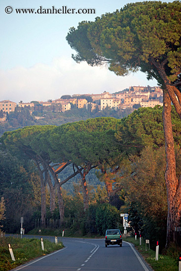 trees-n-car-at-sunse-2.jpg