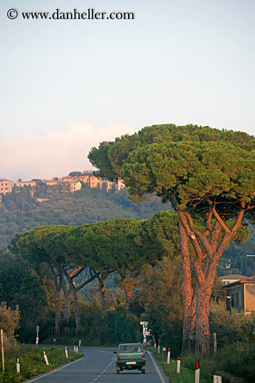 trees-n-car-at-sunset-1.jpg