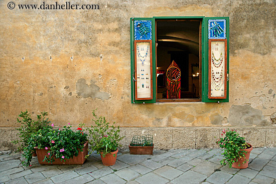 window-n-flowers.jpg