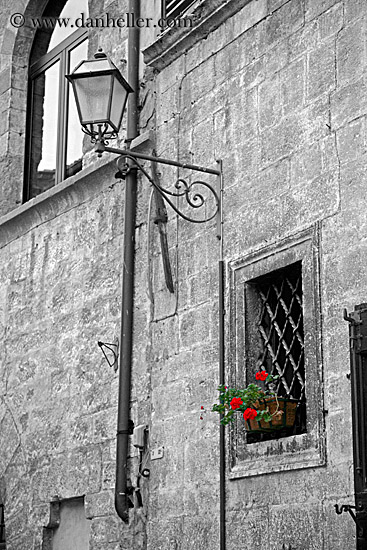 geraniums-in-window.jpg