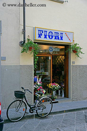 bike-n-flower-shop-2.jpg