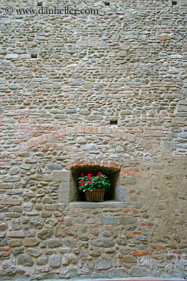 flowers-in-brick-wall.jpg