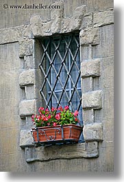 images/Europe/Italy/Tuscany/Towns/Siena/DoorsWindows/geraniums-in-window-3.jpg