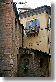 images/Europe/Italy/Tuscany/Towns/Siena/DoorsWindows/geraniums-in-window-5.jpg