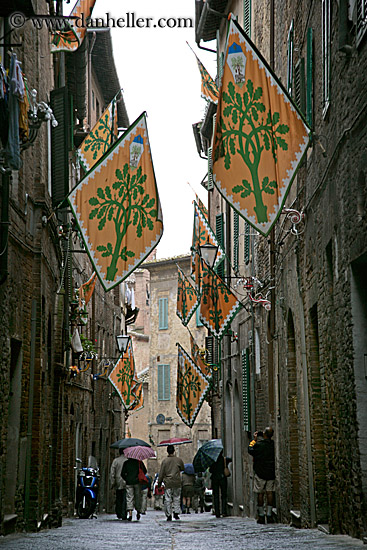 people-walking-in-street.jpg