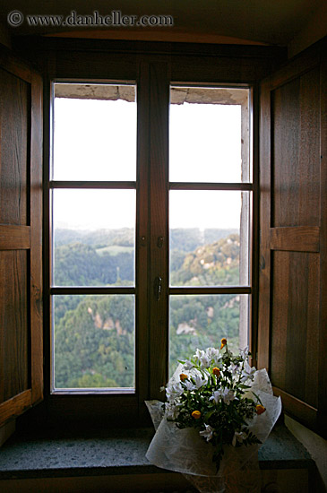 flowers-n-window.jpg