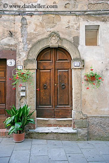 door-n-plants-1.jpg