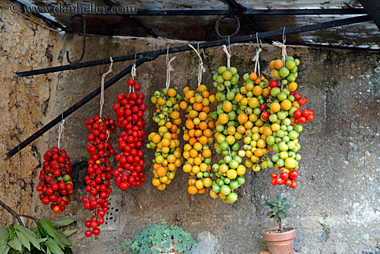 hanging-tomatoes.jpg