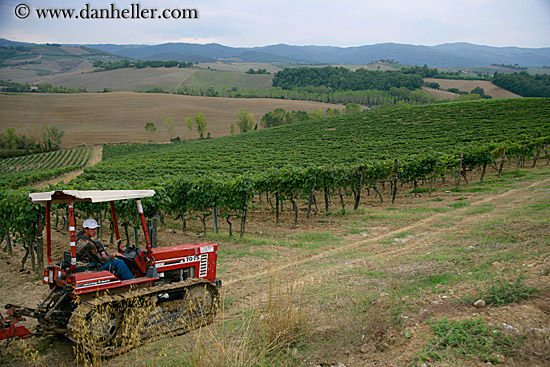 tractor-in-vineyard.jpg