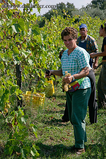 woman-holding-grapes-3.jpg