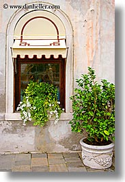 images/Europe/Italy/Venice/DoorsWins/window-n-potted-plant.jpg