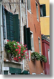 images/Europe/Italy/Venice/DoorsWins/windows-n-flowers.jpg